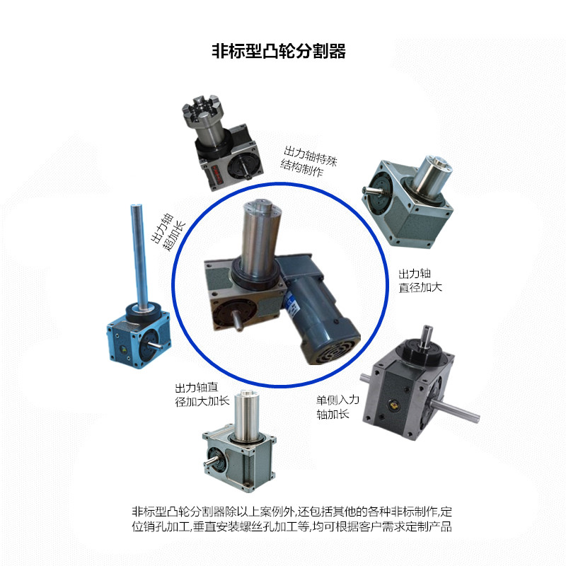 非標(biāo)型凸輪分割器